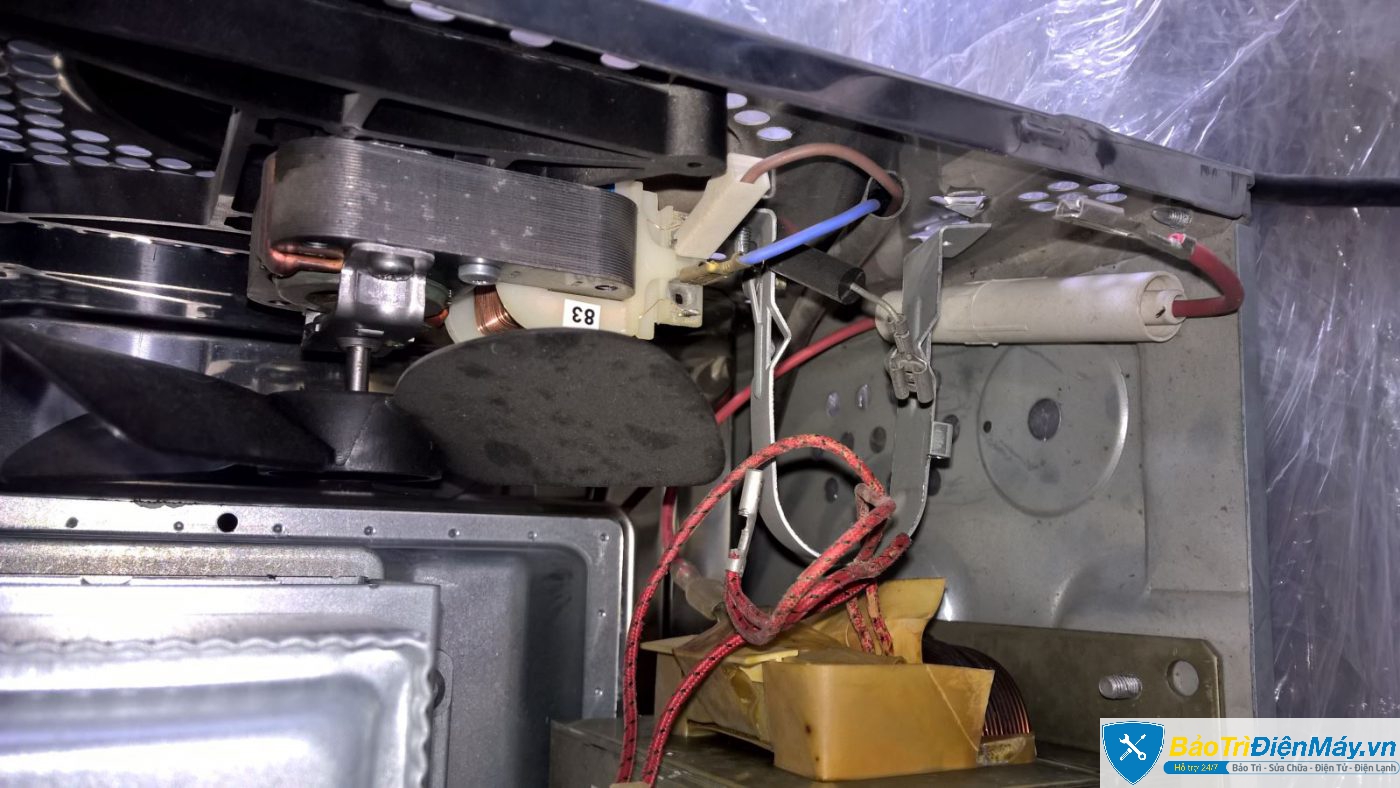 sua lo vi song Giovani3