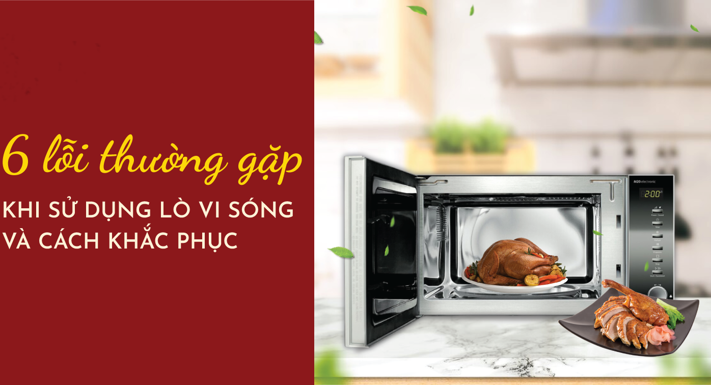 Các lỗi thường gặp khi sửa lò vi sóng.