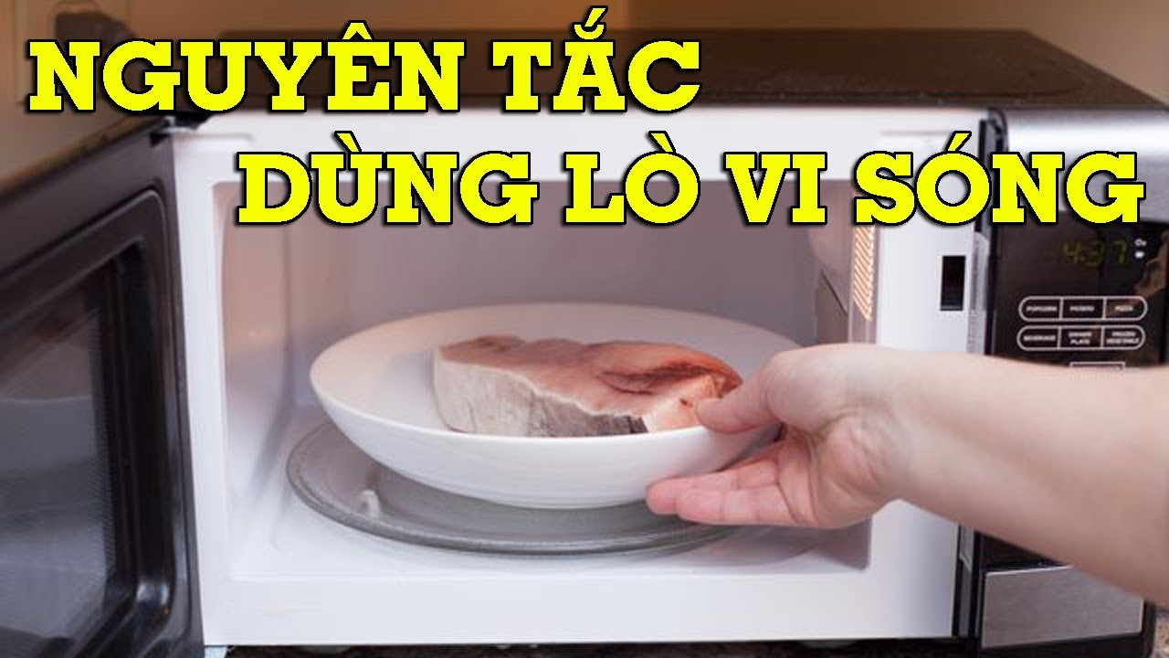 Nguyên tắc cơ bản khi sử dụng lò vi sóng.