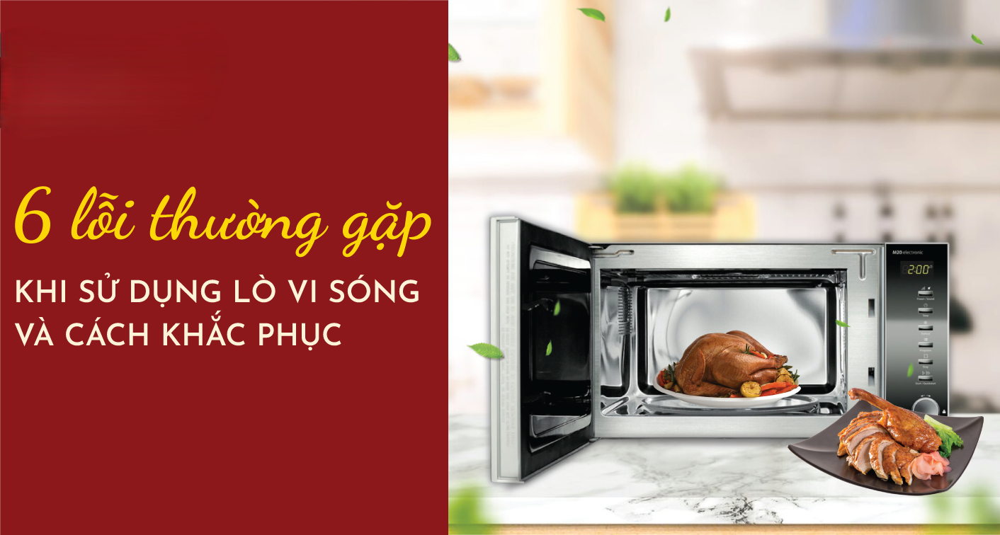 Các lỗi thường gặp khi sửa lò vi sóng.