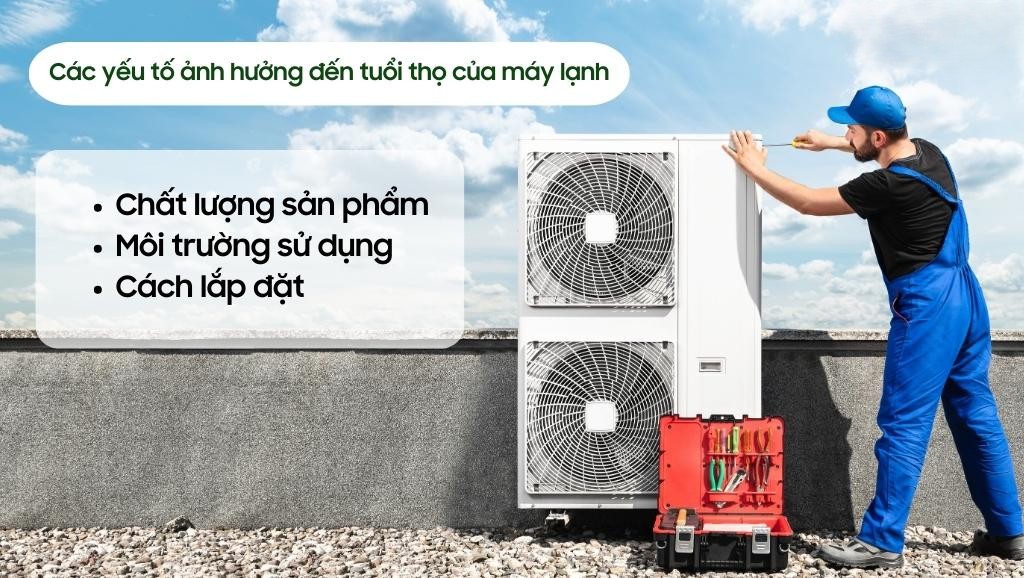 Độ bền và tuổi thọ sử dụng.