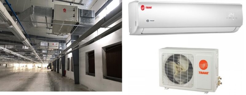 Thiết kế và kích thước khác nhau rõ rệt.