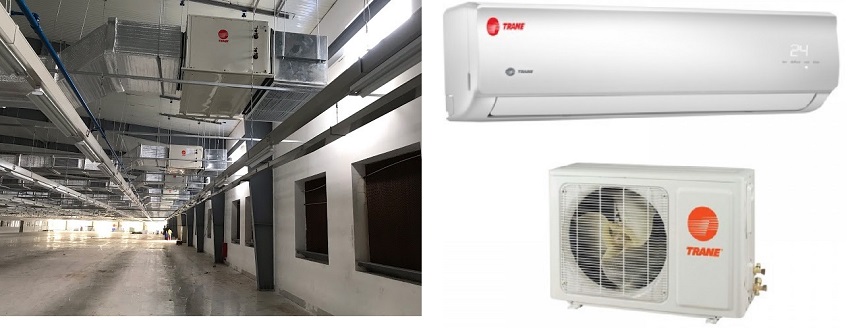 Thiết kế và kích thước khác nhau rõ rệt.