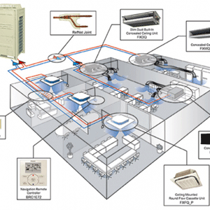Thiết kế và kích thước khác nhau rõ rệt.
