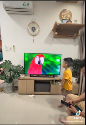 hgryfhvg