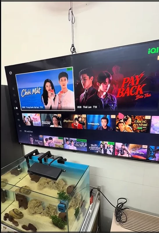 Sửa Tivi Samsung Tại Nhà Quận 8